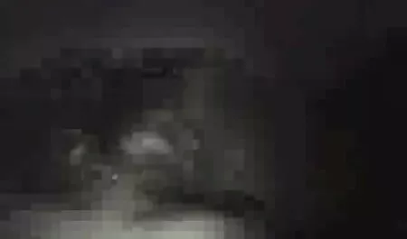 LustHD reife ladies porn - Call of Duty oder Call of Booty?